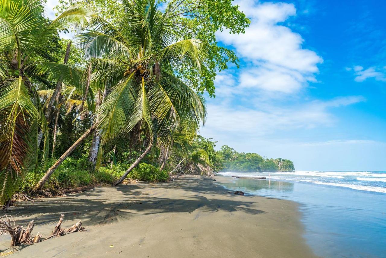 Casa Verde Puerto Viejo de Talamanca Eksteriør billede